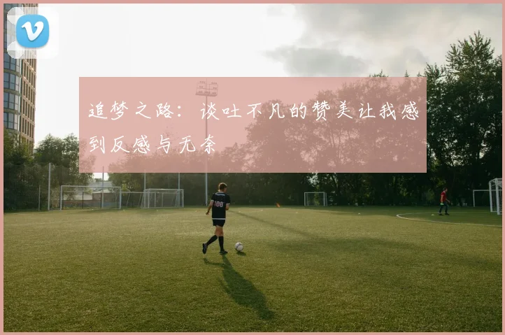 追梦之路：谈吐不凡的赞美让我感到反感与无奈