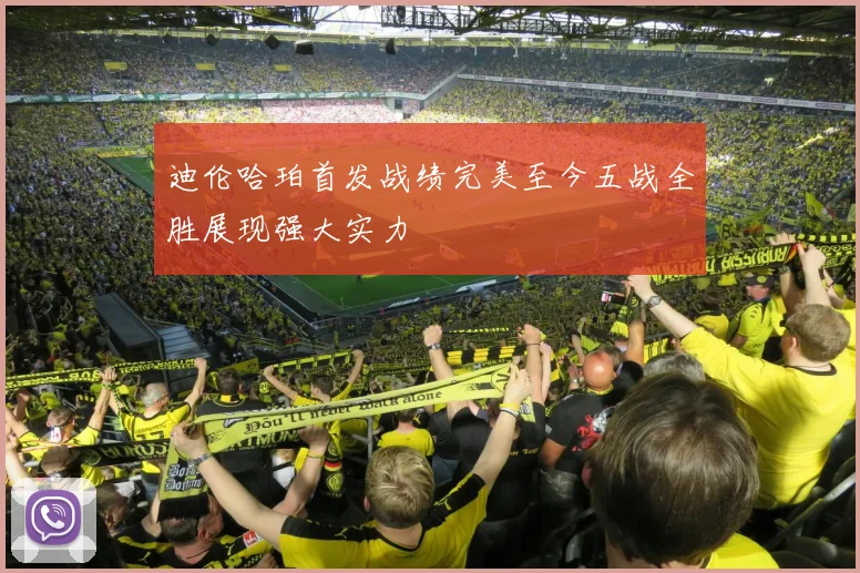 迪伦哈珀首发战绩完美至今五战全胜展现强大实力